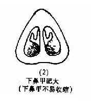 ���Ա���