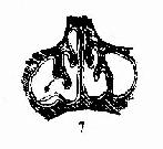 ��������� 7. �俪�����ڲ�ڹ��ʣ��γ��±ǵ��Կ�