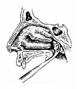 �������г���