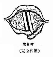 ��������̱��