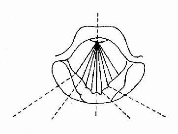 ����̱���µĸ���λ��