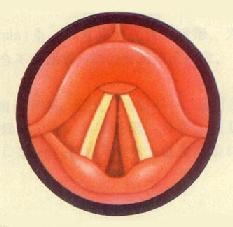 ������<a href=