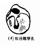 ��Ĥ��������