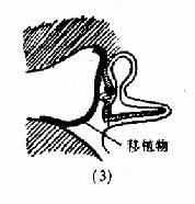 ���ҳ�����