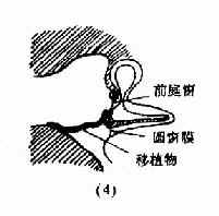 ���ҳ�����