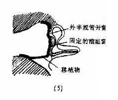 ���ҳ�����