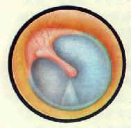 �����ж�