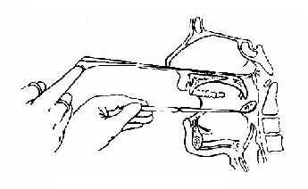 ����ǻ�Ա���ȡ���