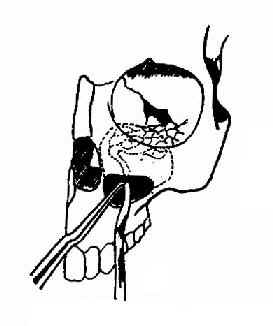 �����ϱڹ��۵ĸ�λ��