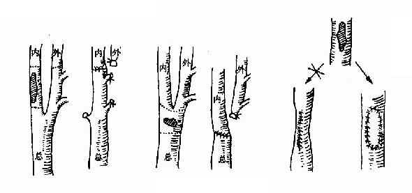 �������ǺϷ�